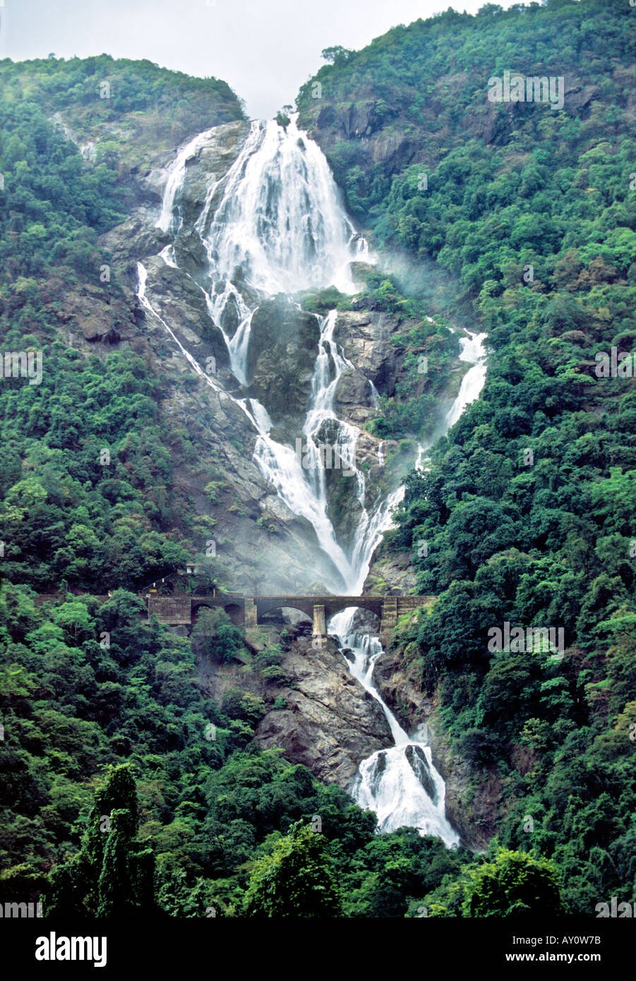 Dudhsagar